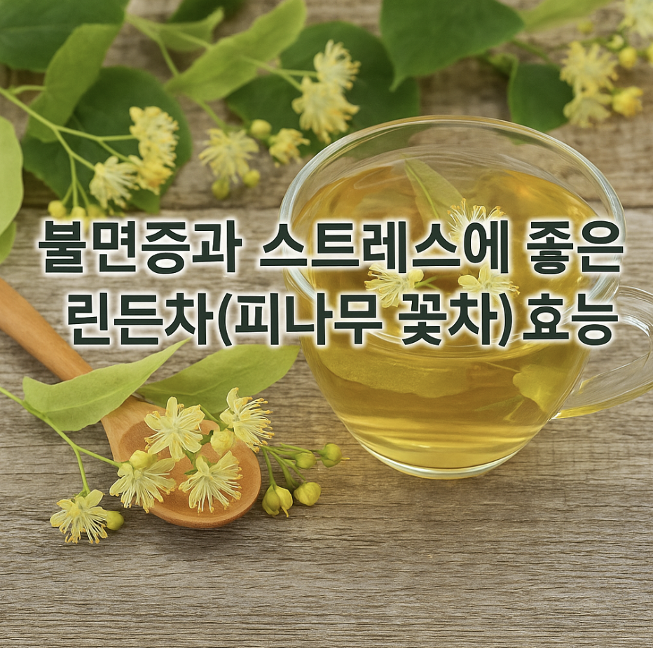 불면증과 스트레스에 좋은 린든차(피나무 꽃차) 효능