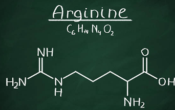 아르기닌 부작용, 아르기닌의 효능, 복용법 총정리 (2025ver)