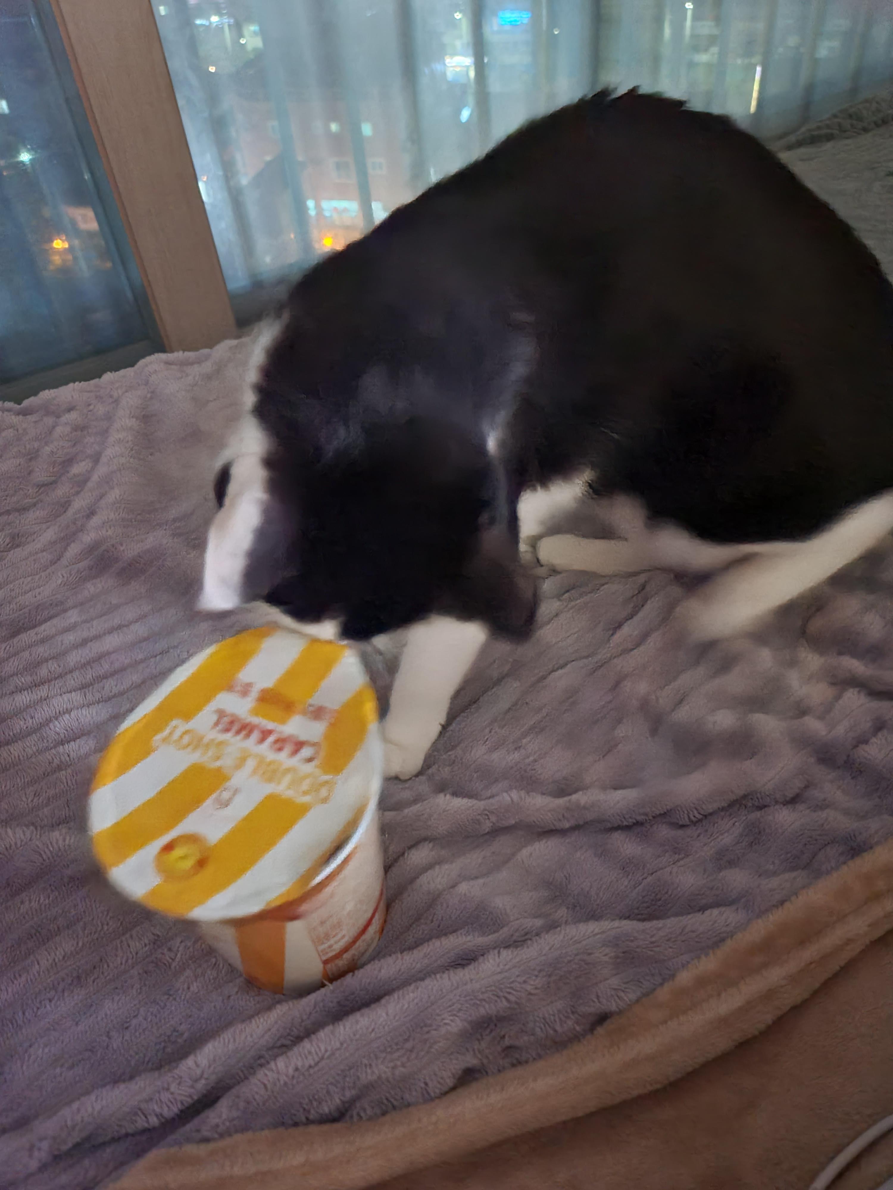 엄마 간식에 관심이 많은 막둥이 라인 ㅋ(딸VS아들 반응)