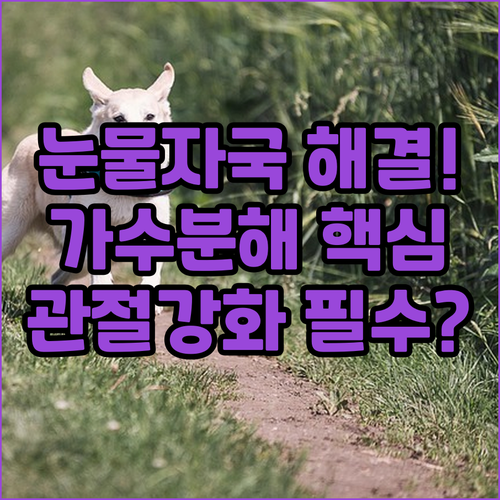 눈물 자국 알러지 해결 가수분해 관절..