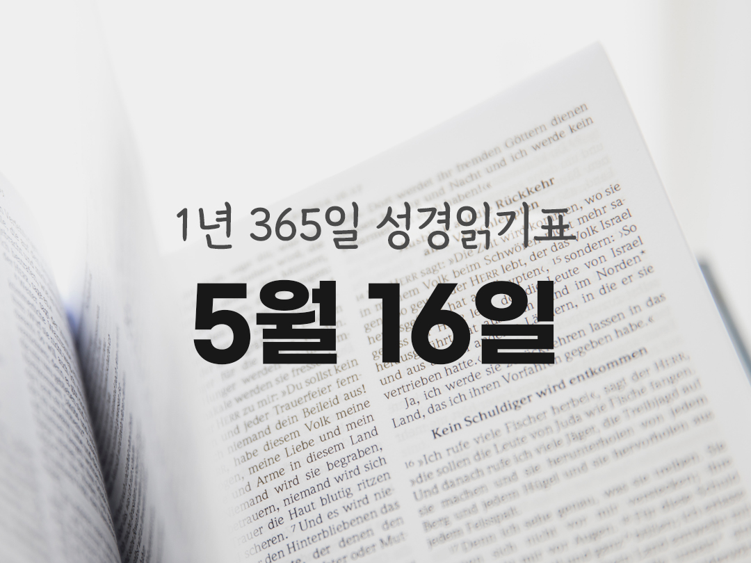 1년 365일 성경읽기표 5월 16일 마카베오기 상권 성경읽기 진도표
