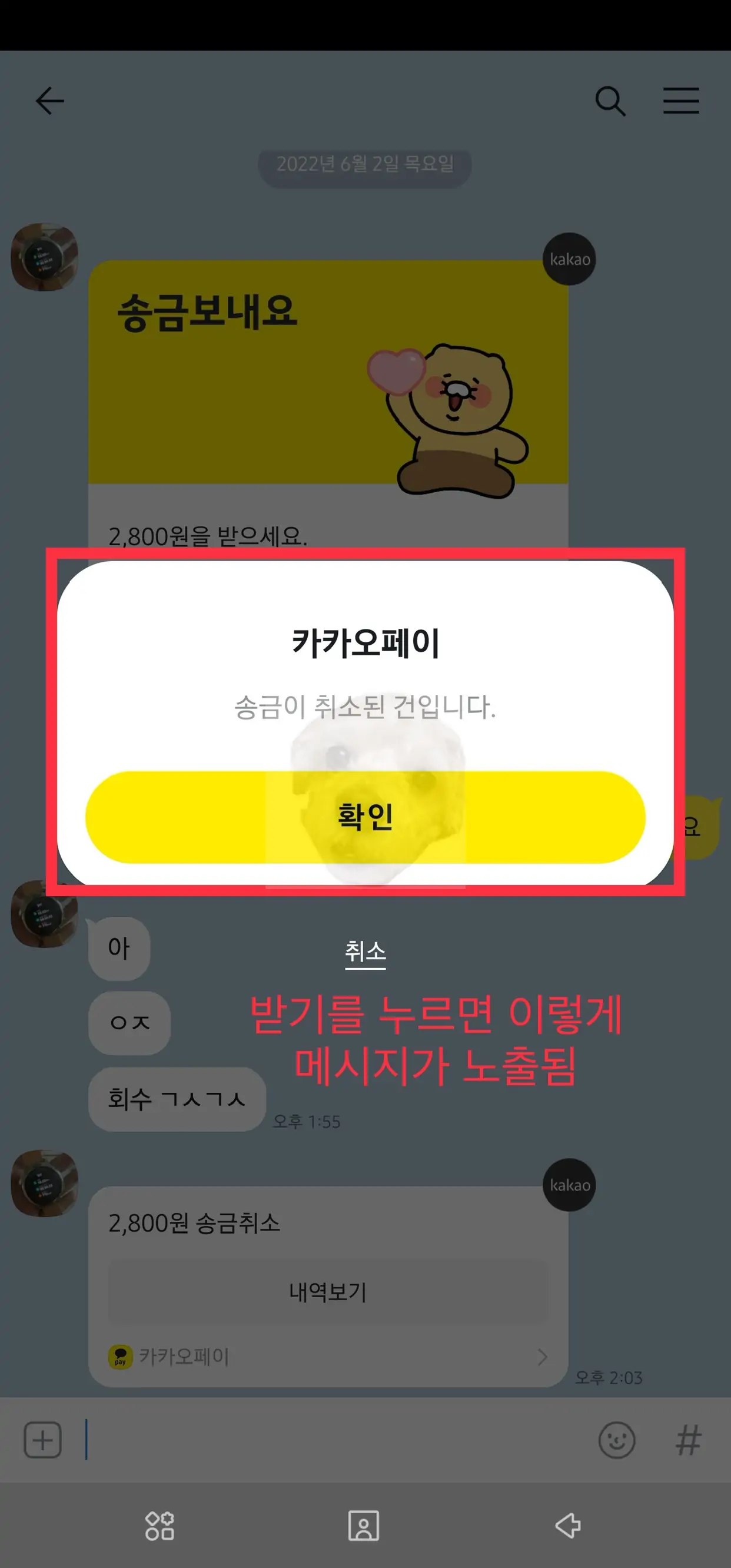 상대방에게는 취소된 카카오페이 송금에 대해 '송금이 취소된 건입니다'라는 메시지가 보인다.