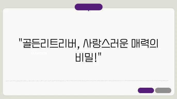 골든리트리버 기본정보