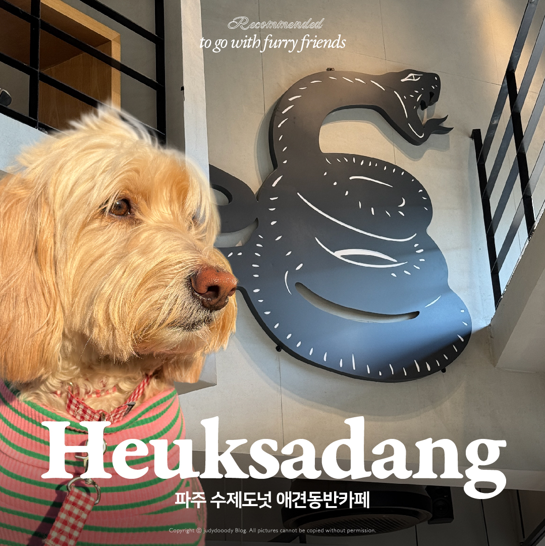 애견동반카페 썸네일