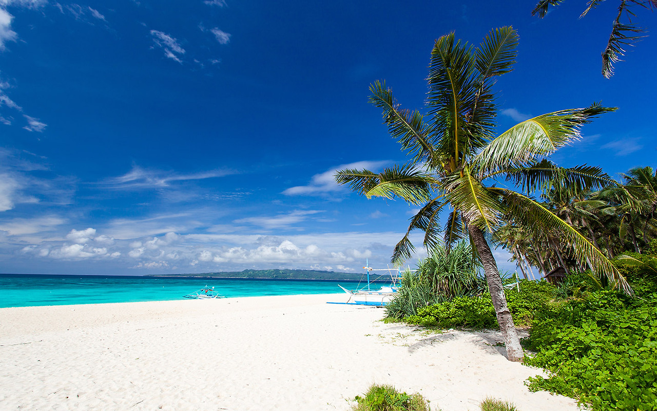 보라카이 관련 사진