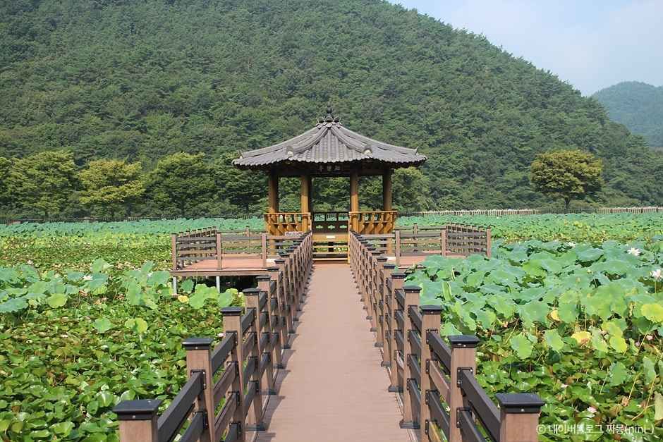 경남 고성 가볼만한곳 베스트10