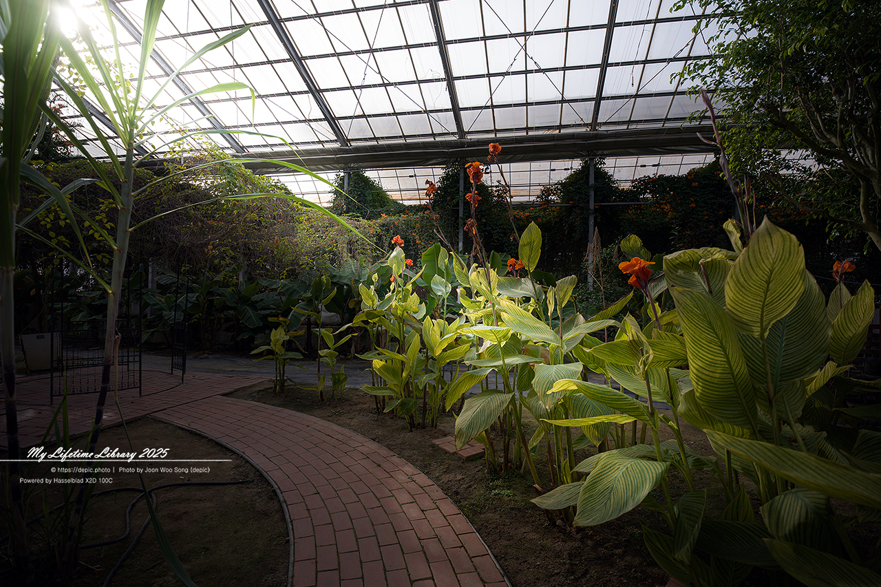 식물원 아산 세계꽃식물원 온실 꽃