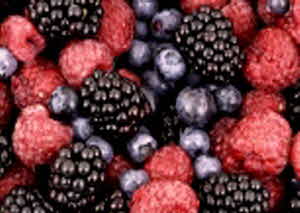 당뇨병 초기증상 수치 원인