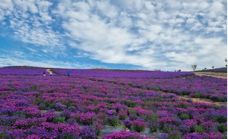 나는솔로 17기 촬영장소