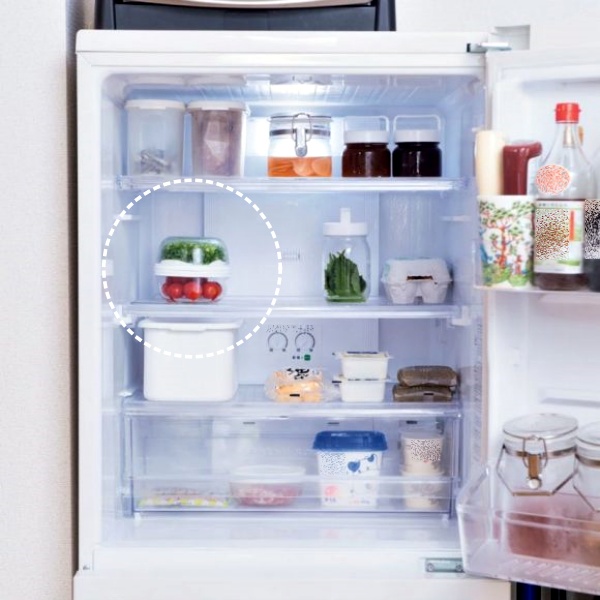 쪽파 보관법 냉장고 실파 보관법