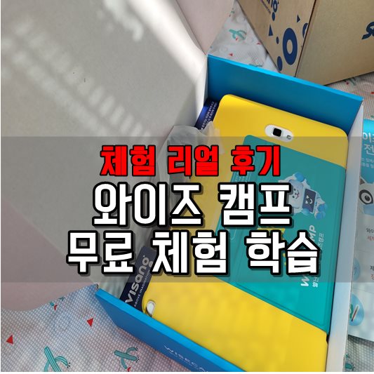 와이즈캠프 리얼 후기
