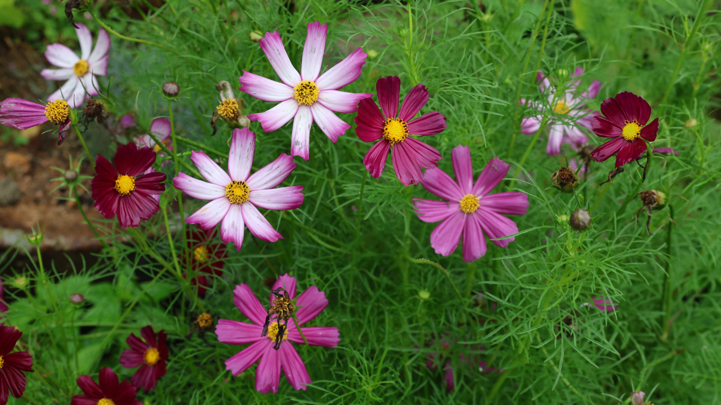 감성적인 여행 사진