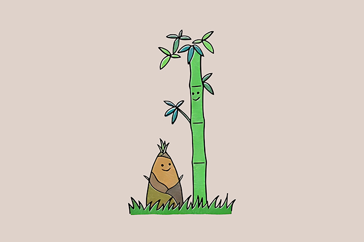 죽순-하루-섭취-권장량