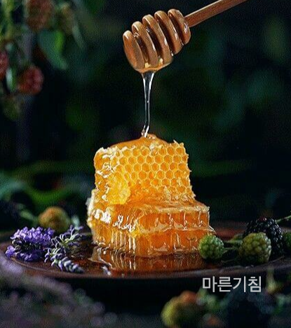 꿀과 레몬