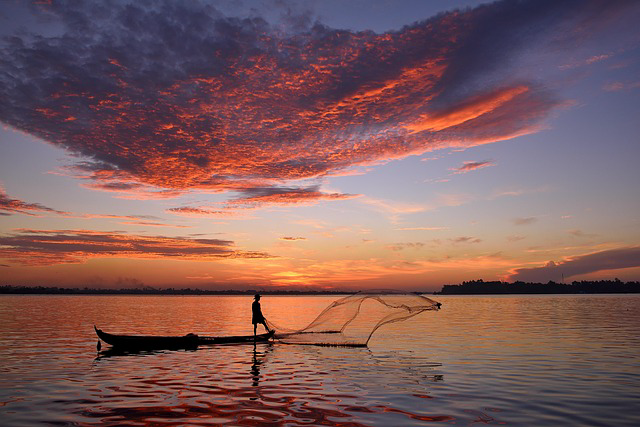 (생명이배신 암:침묵의 살인자가 깨어나는 순가)