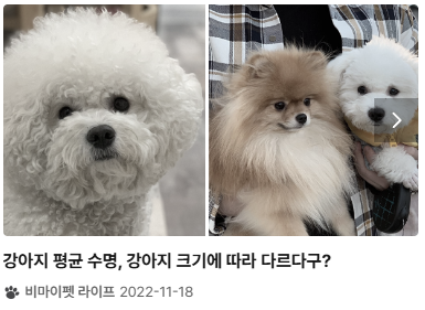 다양한 크기의 견종