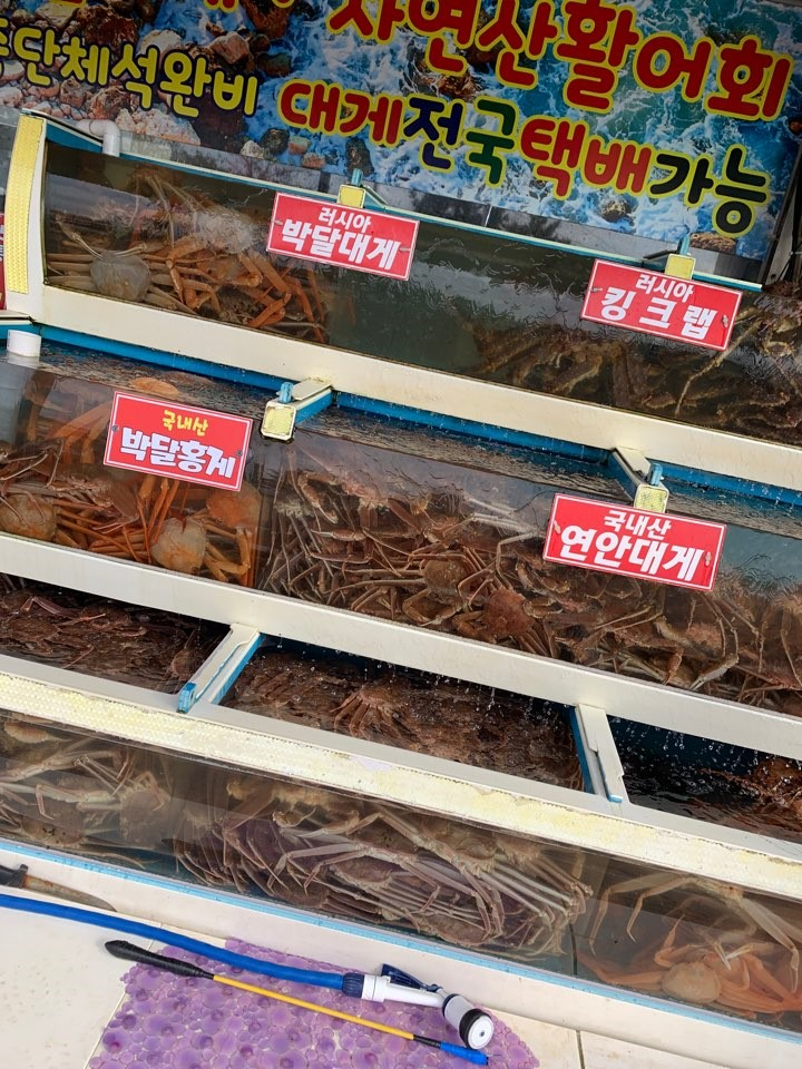 포항 구룡포 맛집