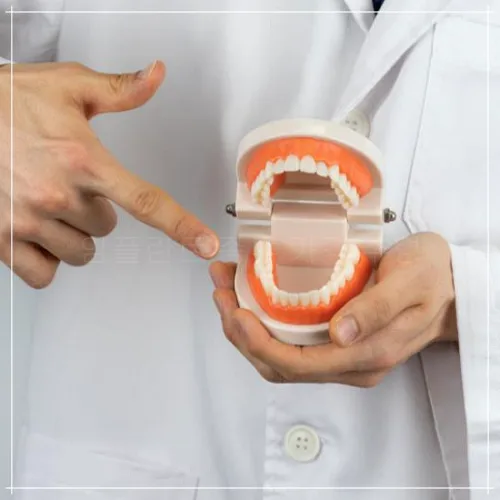 지르코니아 임플란트: 특징, 비용, 수명1