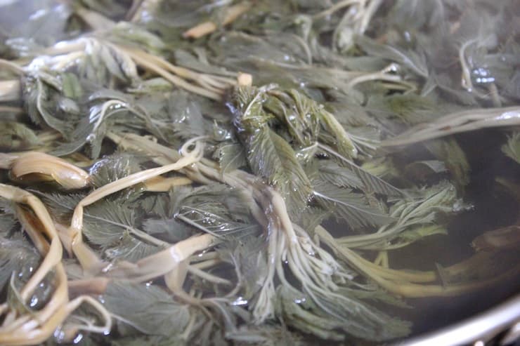 정월대보름나물반찬