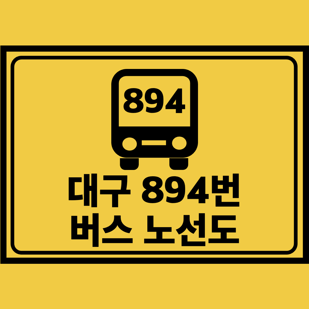 대구894번버스노선도