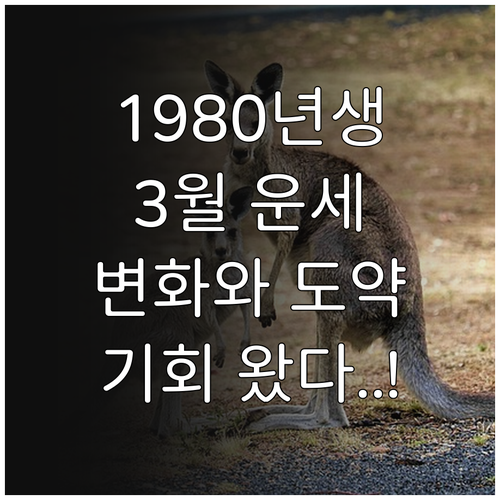 경신생 1980년생 2026년 3월 ..