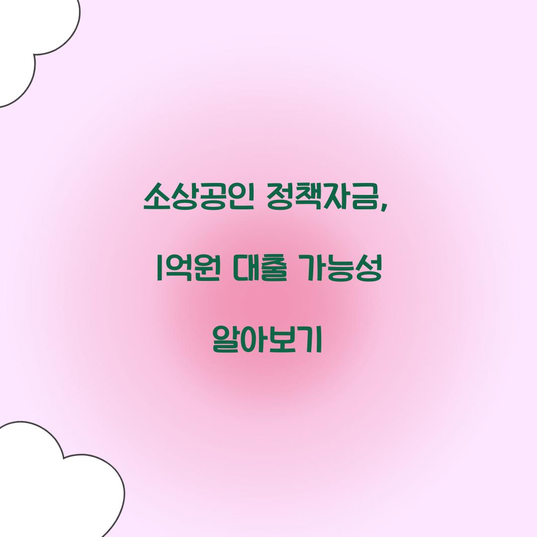 소상공인 정책자금