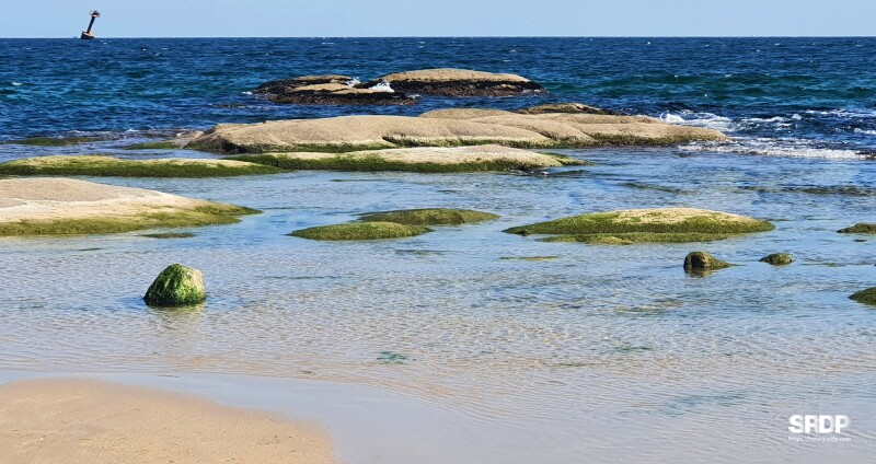 아야진-해변-해수욕장-스위밍터틀-강원도-고성-오션뷰-카페