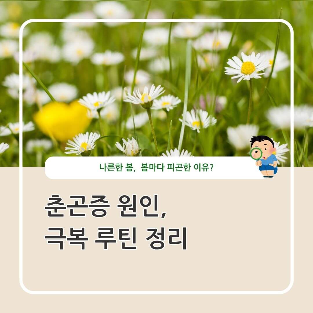 춘곤증의 원인과 극복 루틴 정리