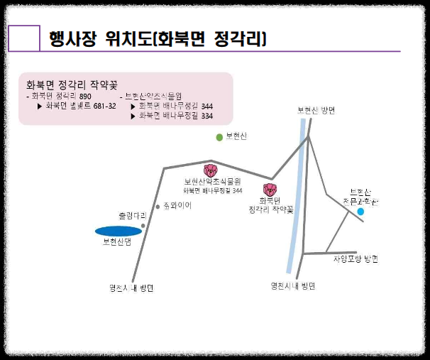 영천 작약꽃 축제