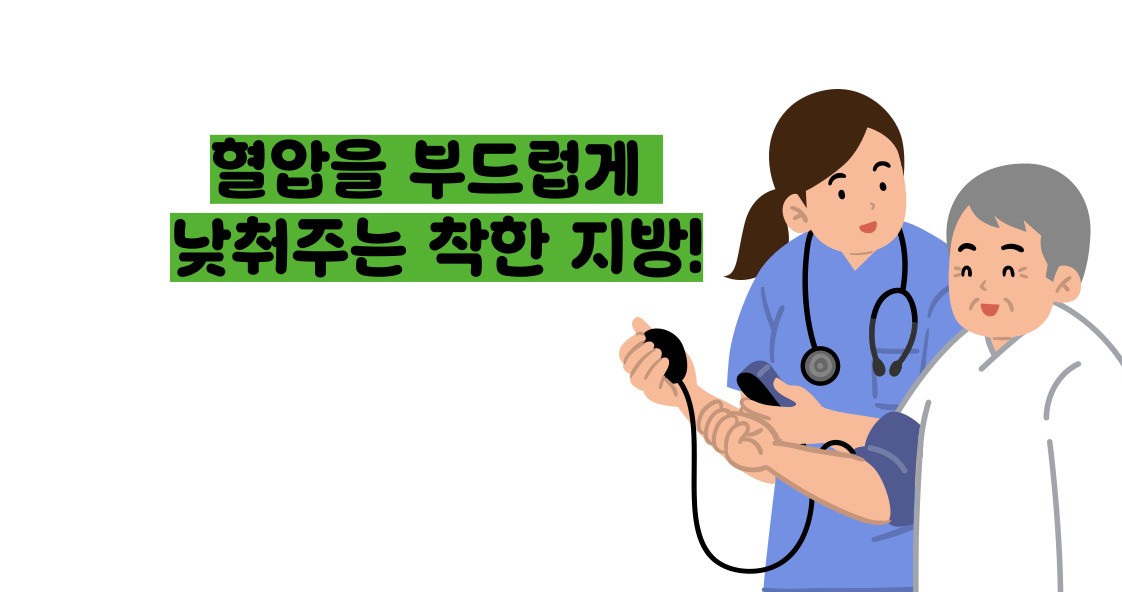 올리브오일 효능