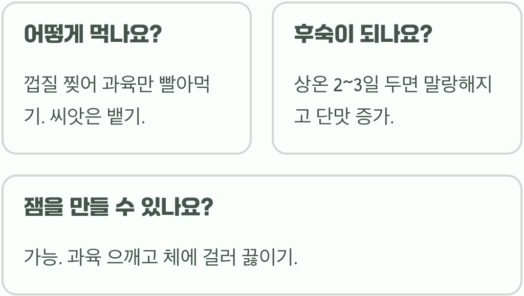 산딸나무 열매&amp;#44; 먹어도 될까? 맛부터 효능&amp;#44; 부작용까지 솔직 후기