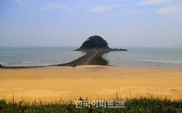 소야도 물때표 여행 낚시 해루질 배편_9