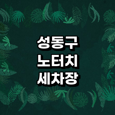 서울 성동구 노터치 세차