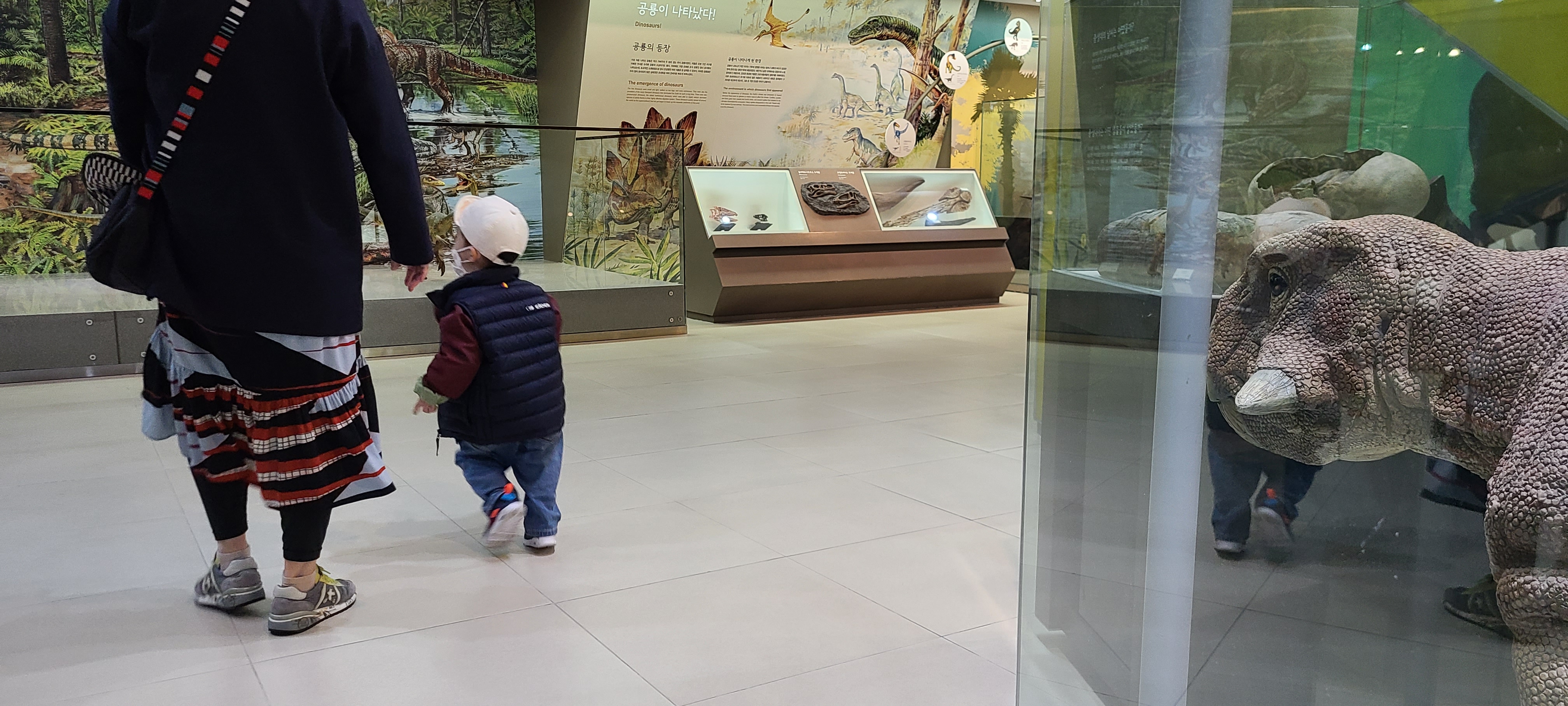 태백고생대자연사박물관