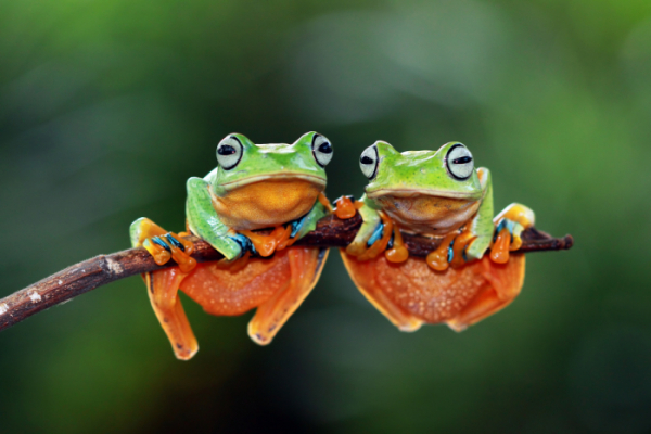 계절의 변화를 세분화한 24 절기 중 &amp;#39;경칩&amp;#39; 이해하기 