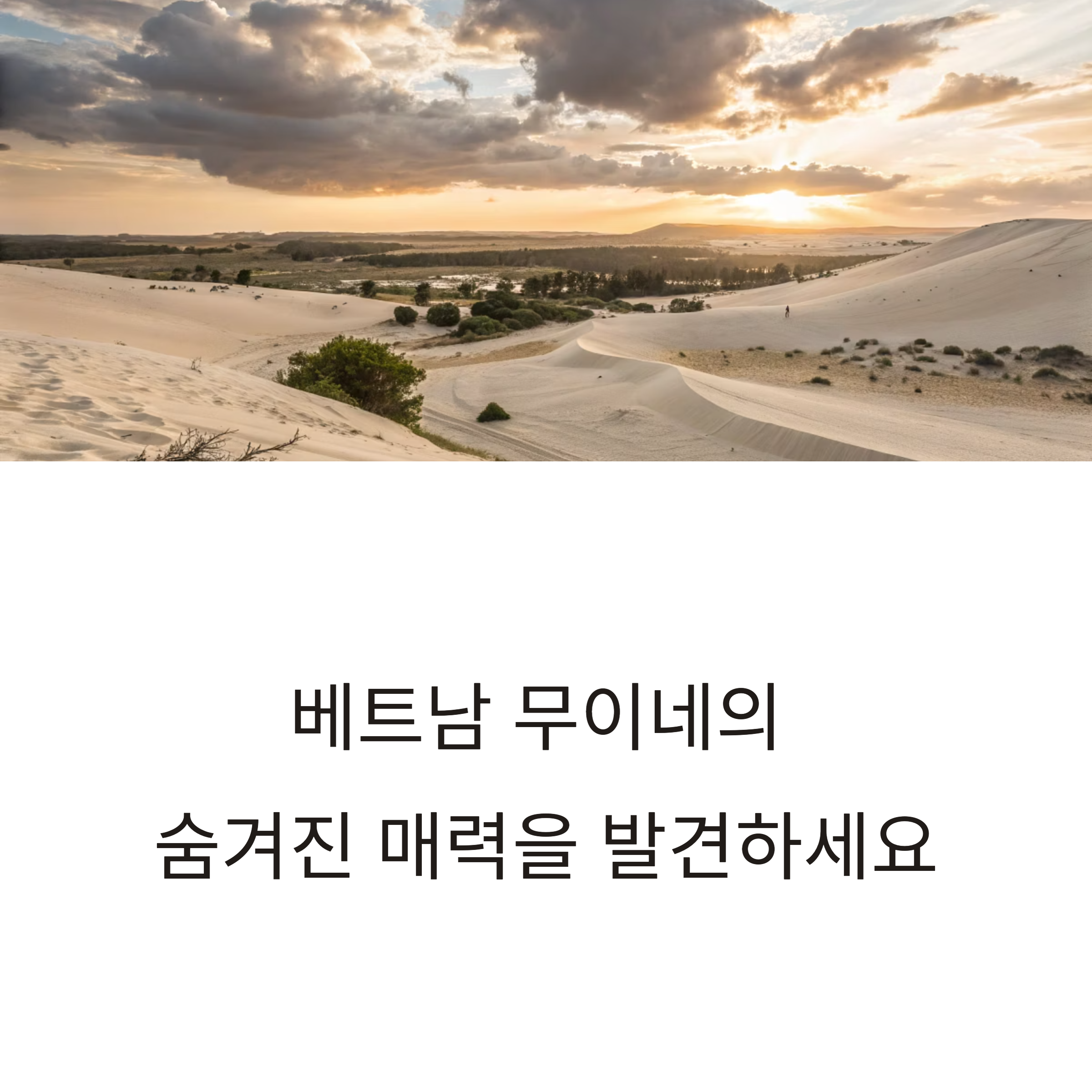 베트남 무이네 여행 코스