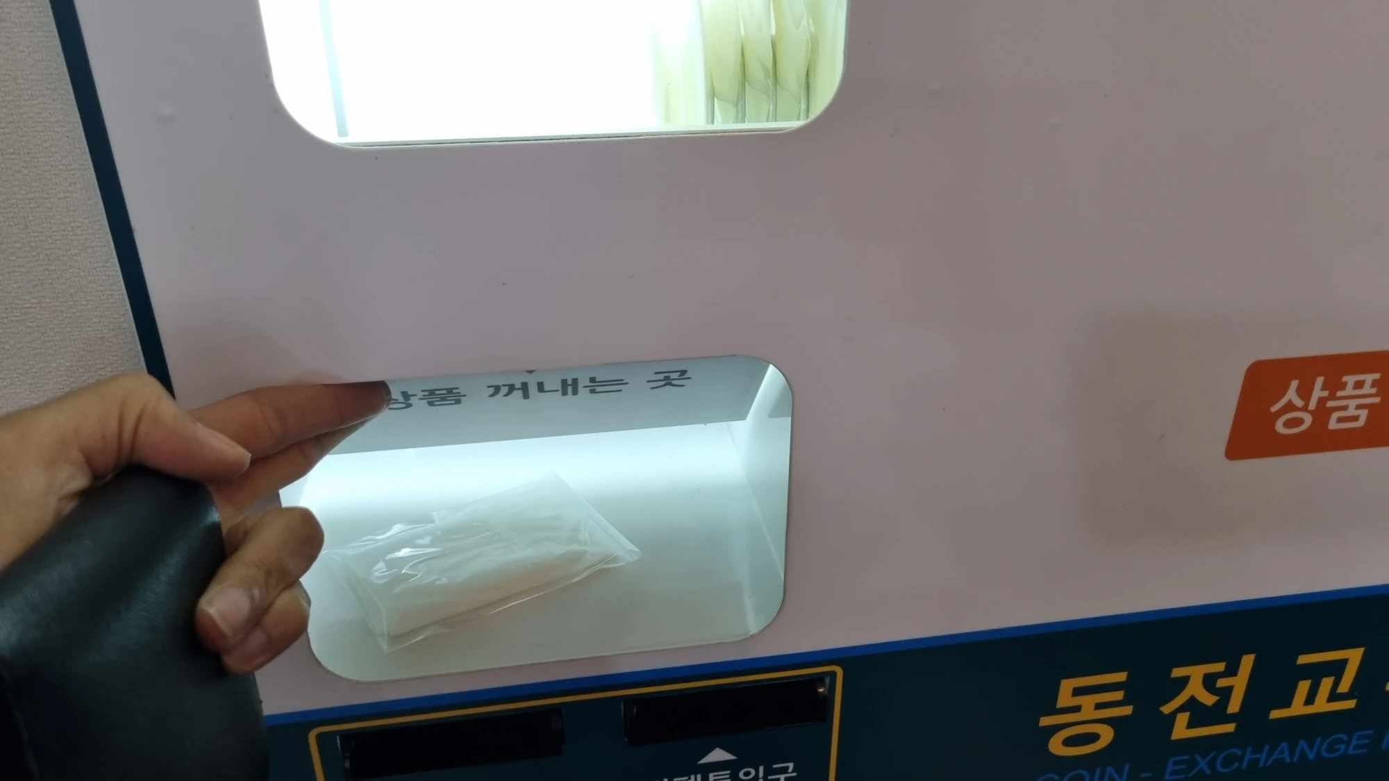 드라이시트 나오는 곳