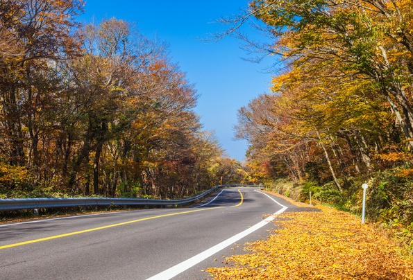 가을단풍드라이브