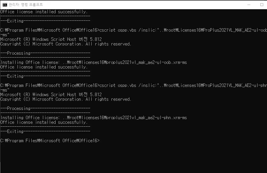 MS오피스 2021 정품인증 CMD