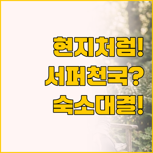 시아르가오 부르고스 숙소 비교, 현지..