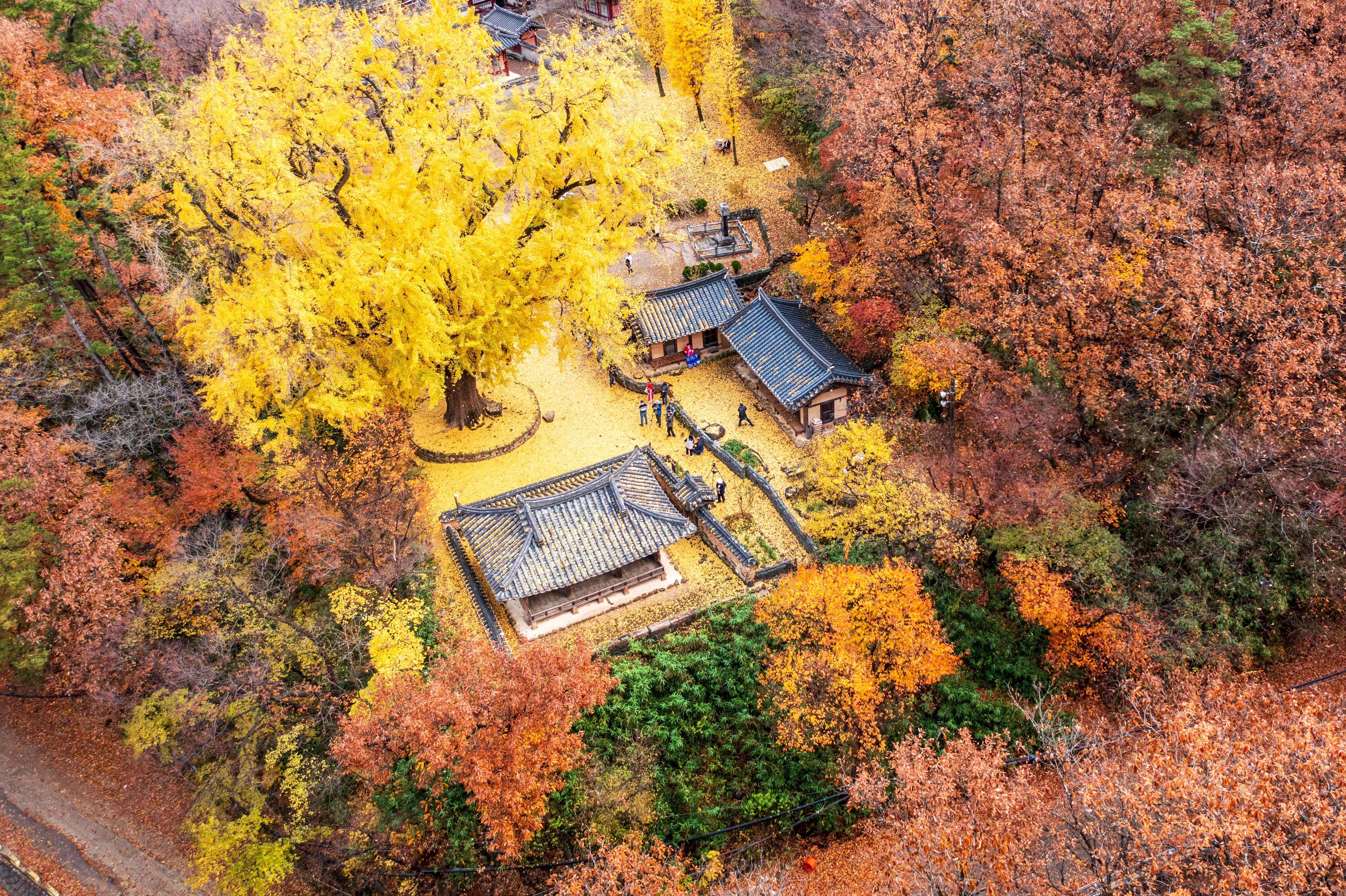 전국-단풍명소-운곡서원