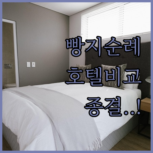 대전 청주 빵지순례 숙소 추천 롯데시..