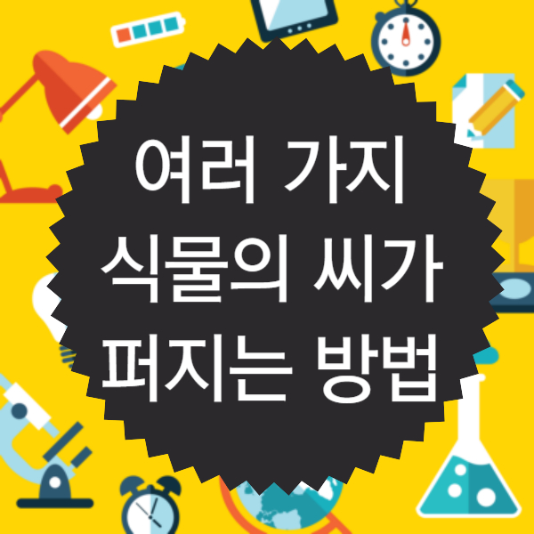 여러 가지 식물의 씨가 퍼지는 방법