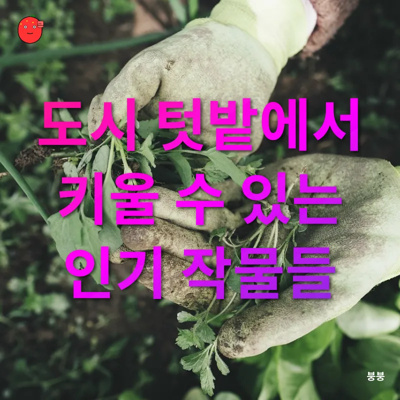 도시 텃밭_2