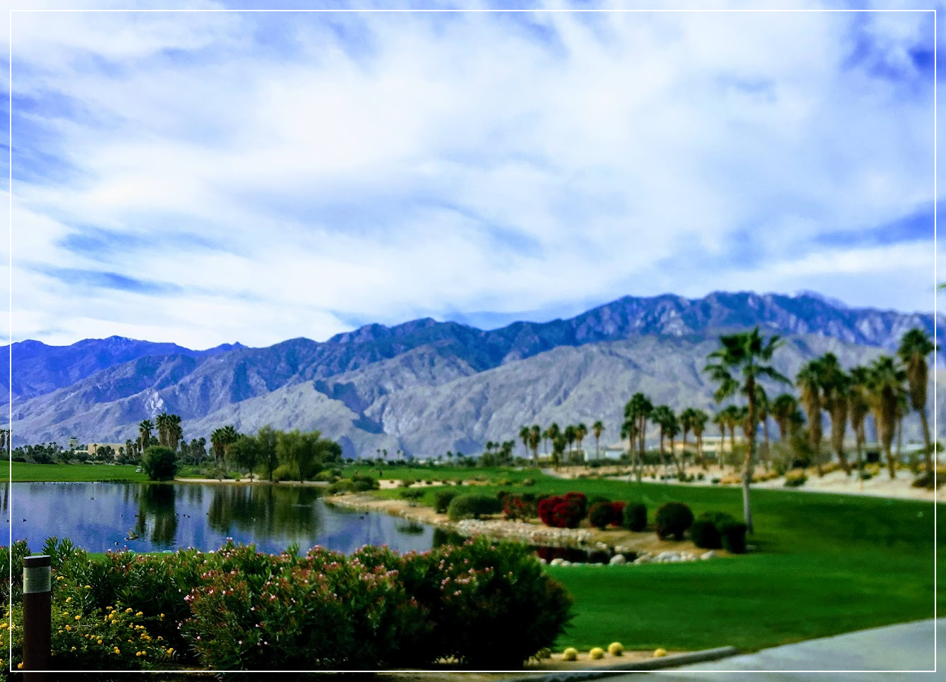 Escena Golf Club (팜 스프링스, Palm Springs) 풍경