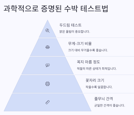 맛있는 수박 고르는 방법: 보관법&amp;#44;효능&amp;#44;화채&middot;주스만드는 법