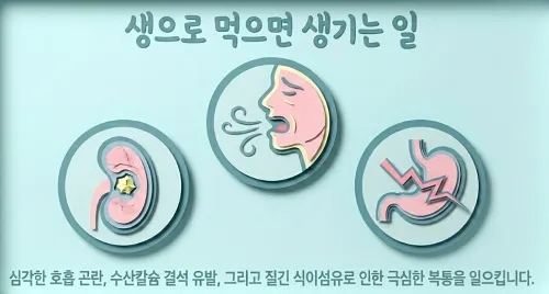 죽순-생으로-먹으면-부작용