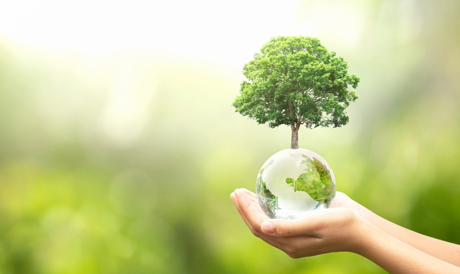 일반쓰레기, 음식물쓰레기 종량제봉투 가격 알아보기