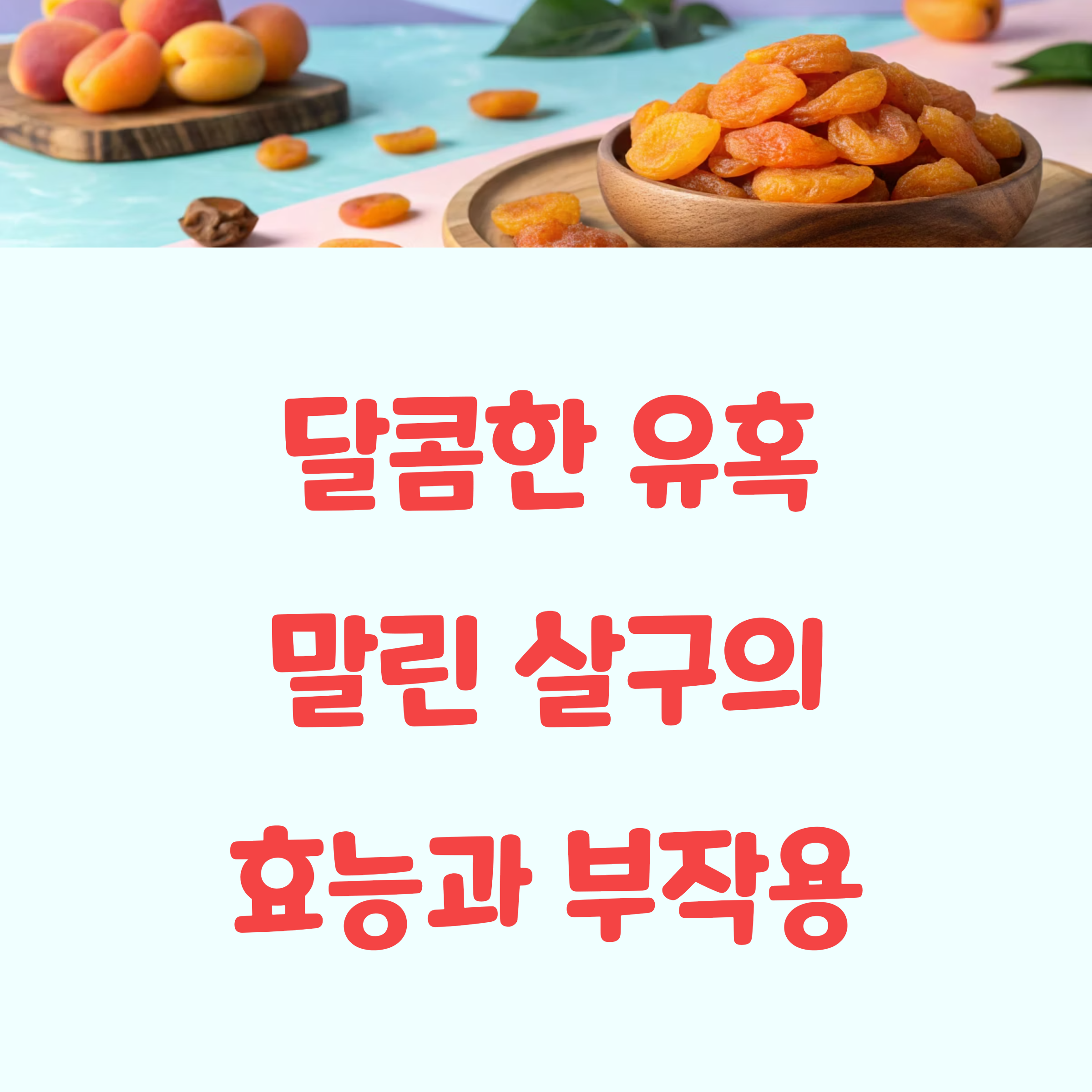말린 살구 효능과 부작용