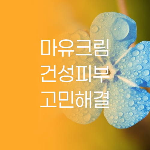 크리스마 마유 크림 리얼 후기 건성